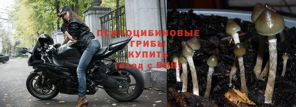 бошки Баксан