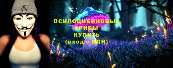 бошки Баксан